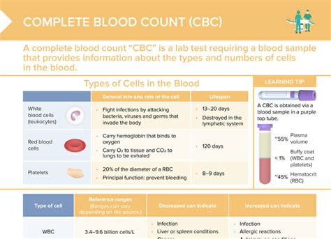 cbc differential interpretation cheat sheet|Complete Blood Count (CBC) Analyzer .